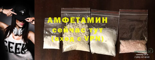 прущие грибы Белоозёрский